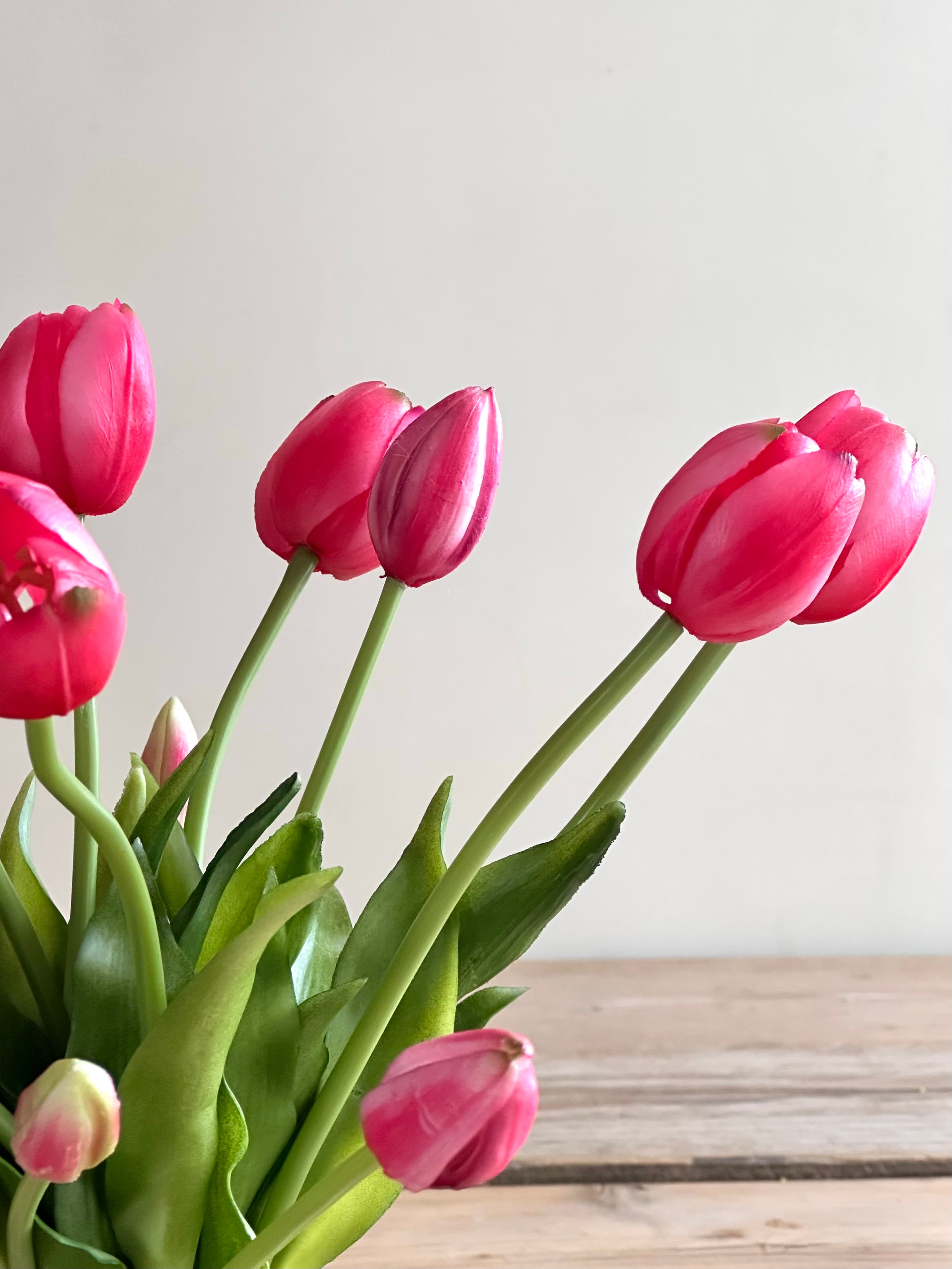 tulips